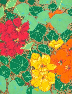 Nasturtium