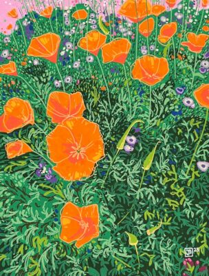 California poppy