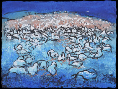 Lieu de passage Île Bonaventure